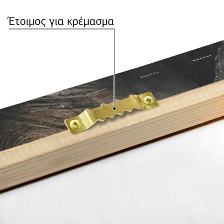 Πίνακας σε Καμβά RUSTIC FARMHOUSE WOOD LOGS 2 -  Sticky 4
