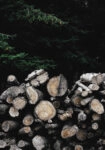 Πίνακας σε Καμβά RUSTIC FARMHOUSE WOOD LOGS 3