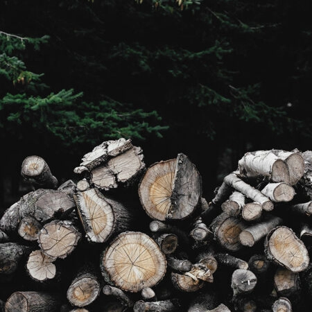Πίνακας σε Καμβά RUSTIC FARMHOUSE WOOD LOGS 3 -  Sticky 5