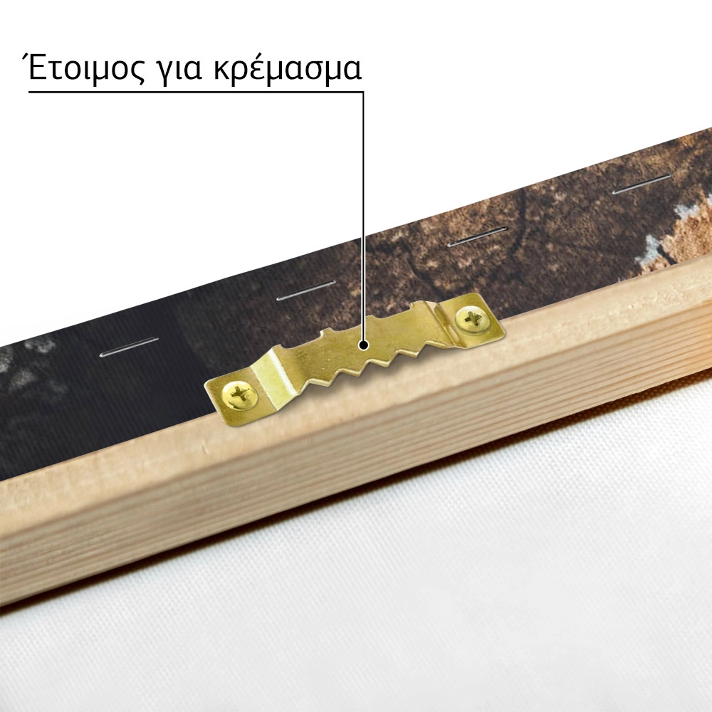Πίνακας σε Καμβά RUSTIC FARMHOUSE WOOD LOGS