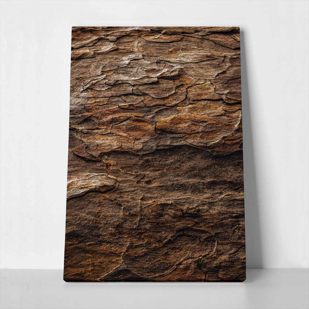 Πίνακας σε Καμβά RUSTIC FARMHOUSE WOOD TEXTURE 2