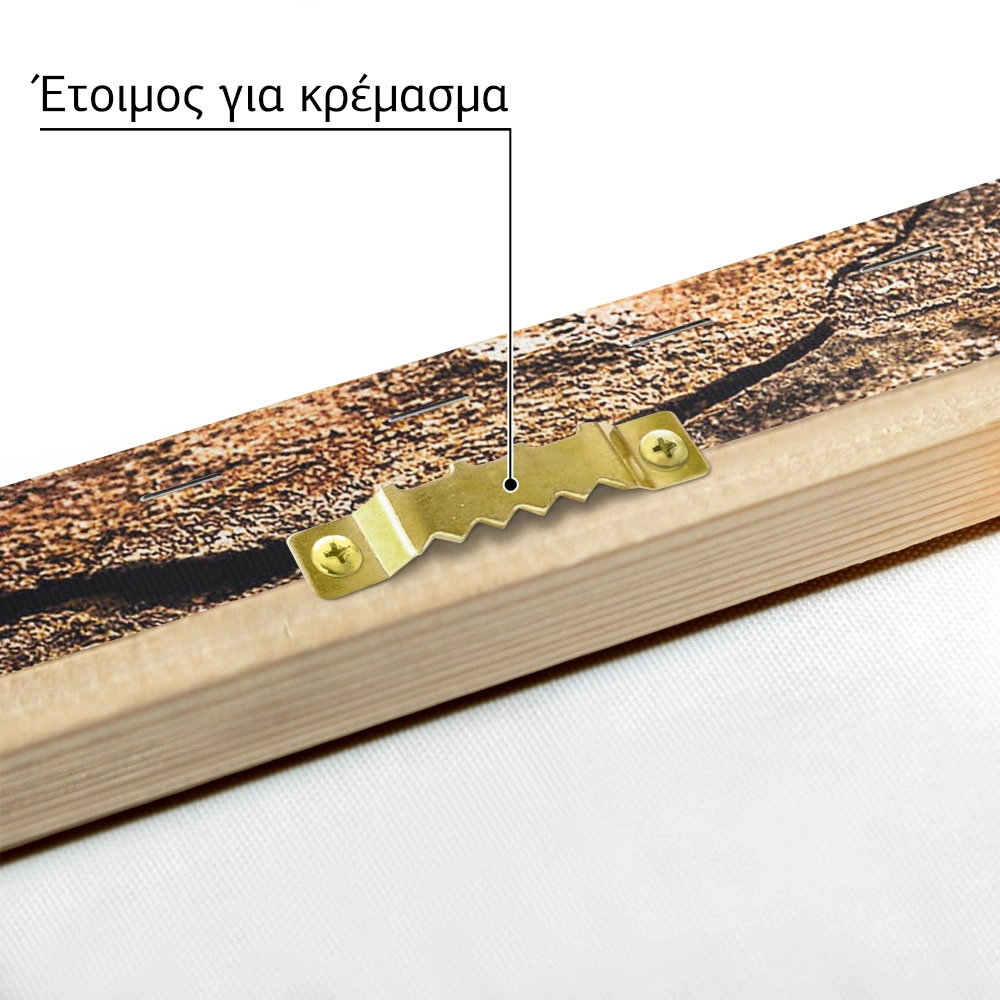 Πίνακας σε Καμβά RUSTIC FARMHOUSE WOOD TEXTURE 2