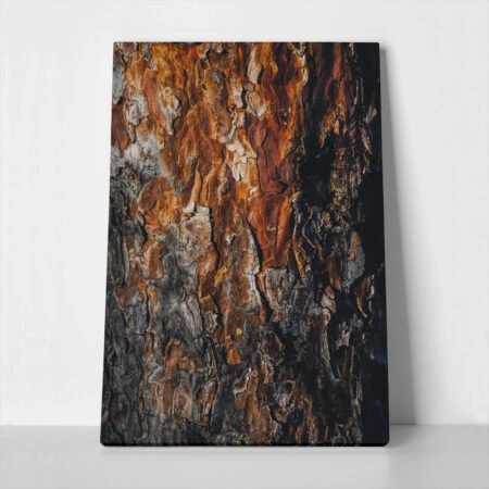 Πίνακας σε Καμβά RUSTIC FARMHOUSE WOOD TEXTURE 3