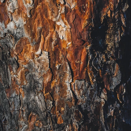 Πίνακας σε Καμβά RUSTIC FARMHOUSE WOOD TEXTURE 3 -  Sticky 5