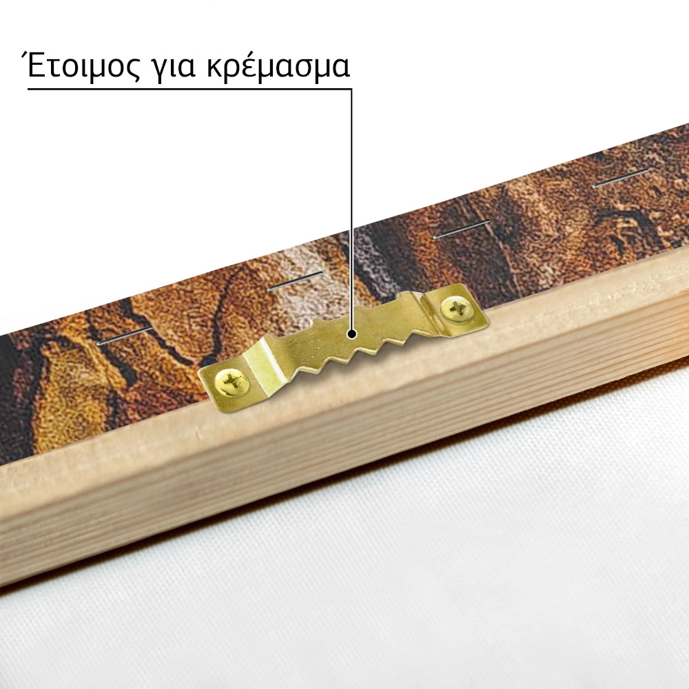 Πίνακας σε Καμβά RUSTIC FARMHOUSE WOOD TEXTURE 3