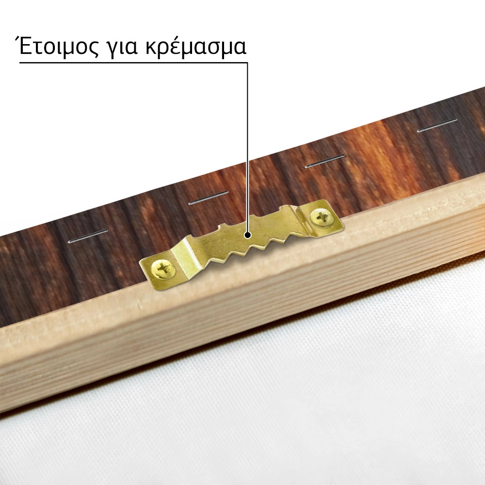 Πίνακας σε Καμβά RUSTIC FARMHOUSE WOOD TEXTURE 4