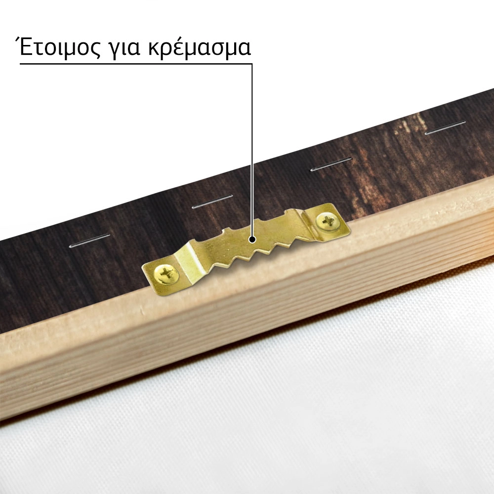 Πίνακας σε Καμβά RUSTIC FARMHOUSE WOOD TEXTURE 6