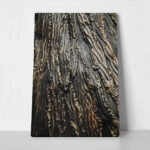 Πίνακας σε Καμβά RUSTIC FARMHOUSE WOOD TEXTURE 7