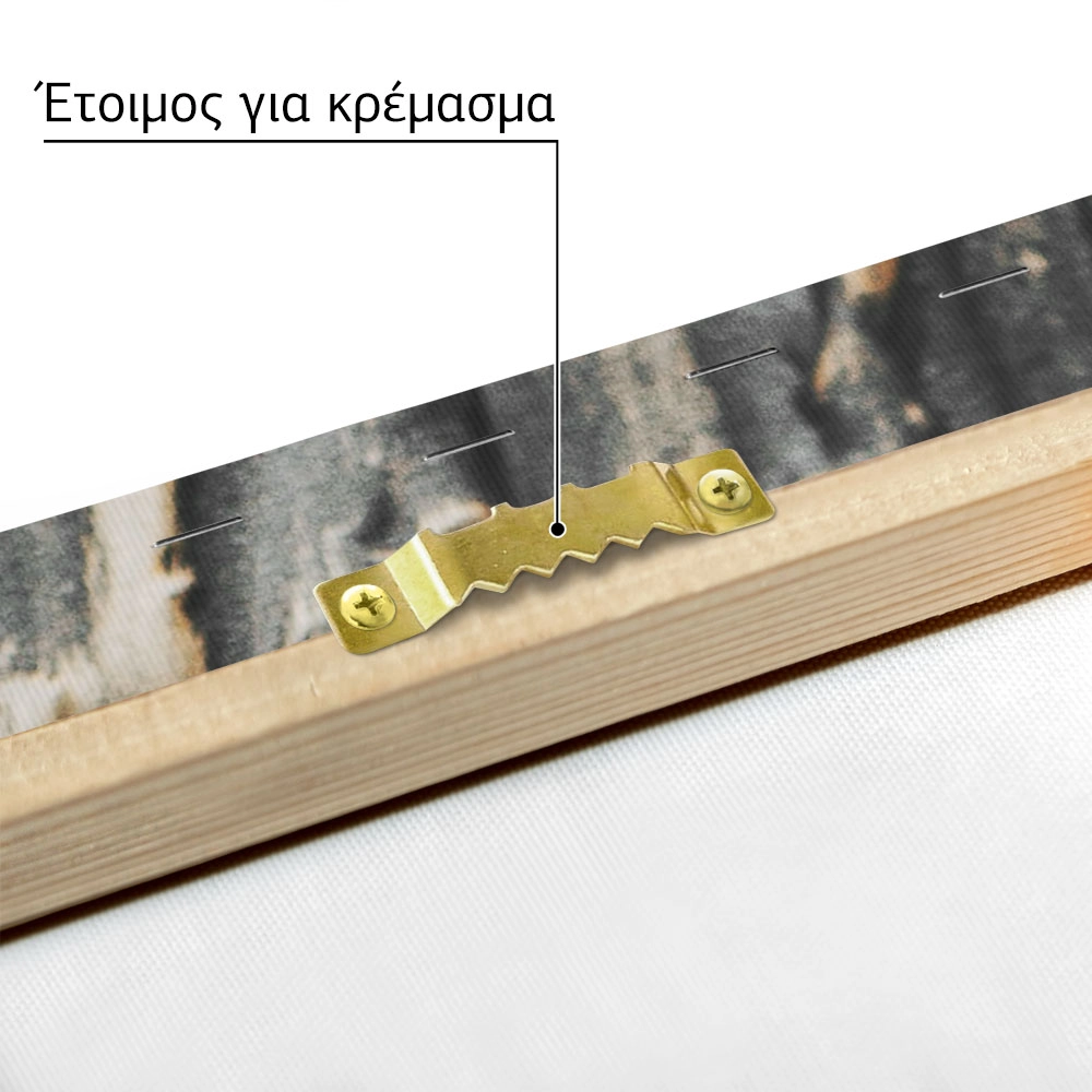 Πίνακας σε Καμβά RUSTIC FARMHOUSE WOOD TEXTURE 7