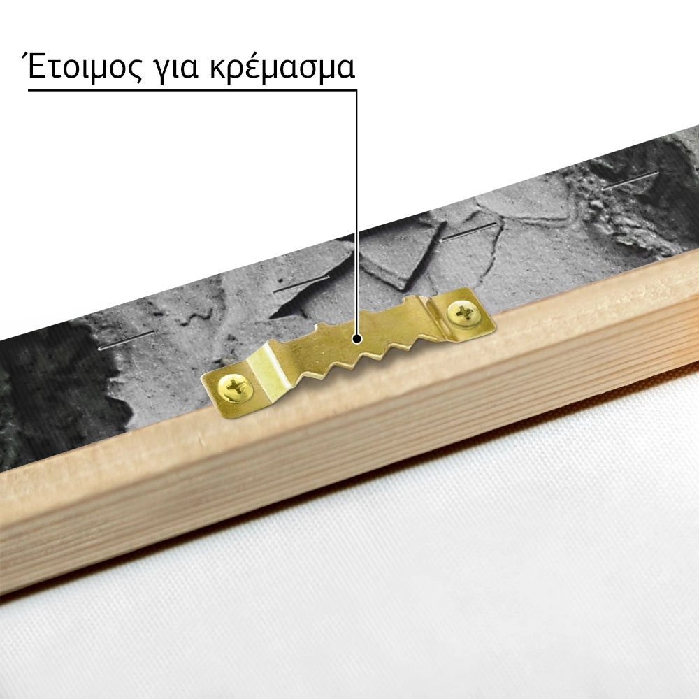 Πίνακας σε Καμβά RUSTIC FARMHOUSE WOOD TEXTURE 8