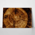 Πίνακας σε Καμβά RUSTIC FARMHOUSE WOOD TEXTURE 9
