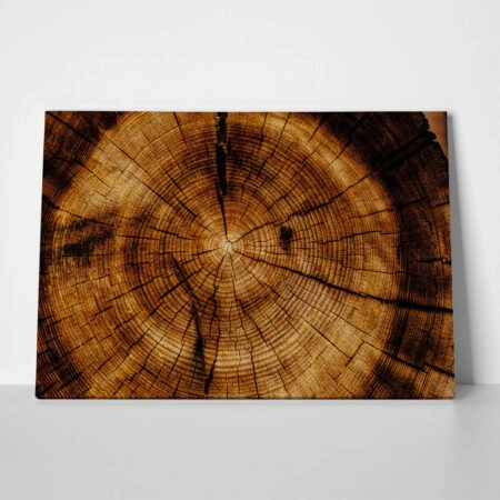 Πίνακας σε Καμβά RUSTIC FARMHOUSE WOOD TEXTURE 9 - 