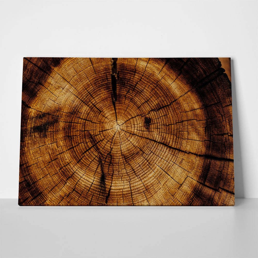 Πίνακας σε Καμβά RUSTIC FARMHOUSE WOOD TEXTURE 9