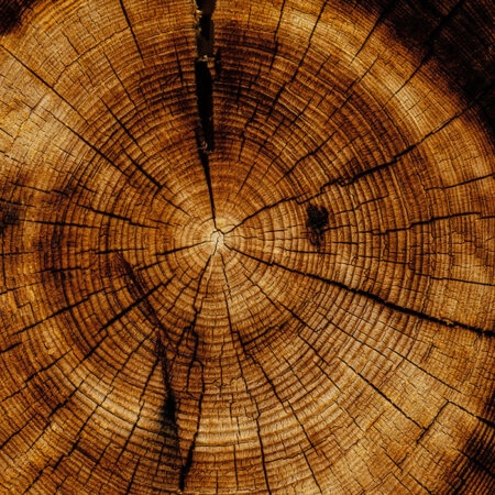 Πίνακας σε Καμβά RUSTIC FARMHOUSE WOOD TEXTURE 9 -  Sticky 5