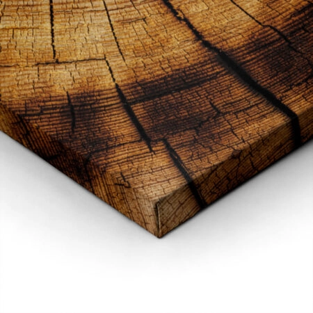 Πίνακας σε Καμβά RUSTIC FARMHOUSE WOOD TEXTURE 9 -  Sticky 1
