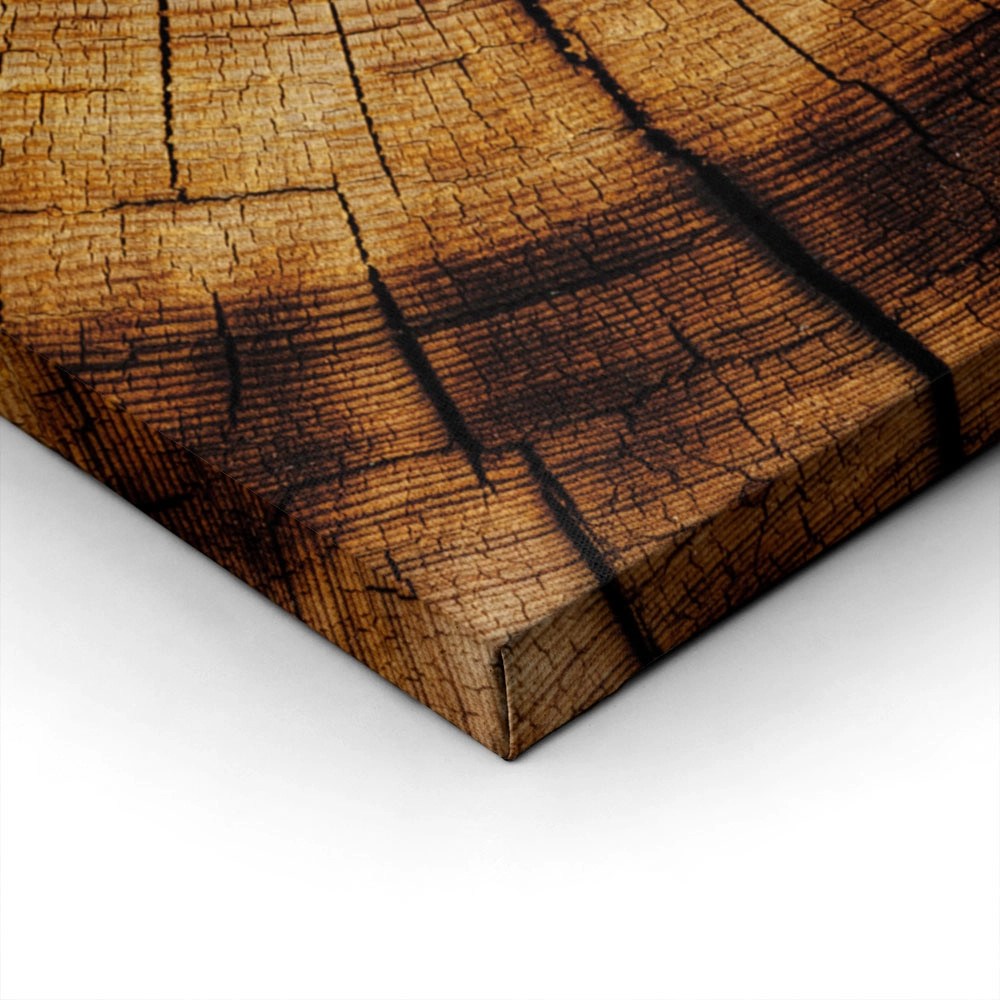 Πίνακας σε Καμβά RUSTIC FARMHOUSE WOOD TEXTURE 9
