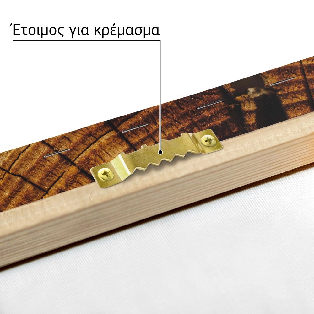 Πίνακας σε Καμβά RUSTIC FARMHOUSE WOOD TEXTURE 9