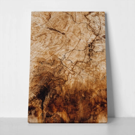 Πίνακας σε Καμβά RUSTIC FARMHOUSE WOOD TEXTURE