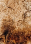 Πίνακας σε Καμβά RUSTIC FARMHOUSE WOOD TEXTURE