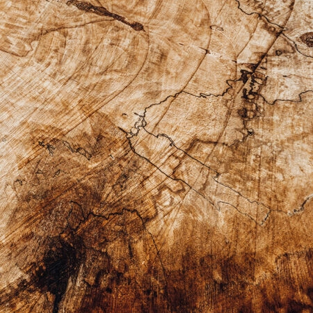 Πίνακας σε Καμβά RUSTIC FARMHOUSE WOOD TEXTURE -  Sticky 5