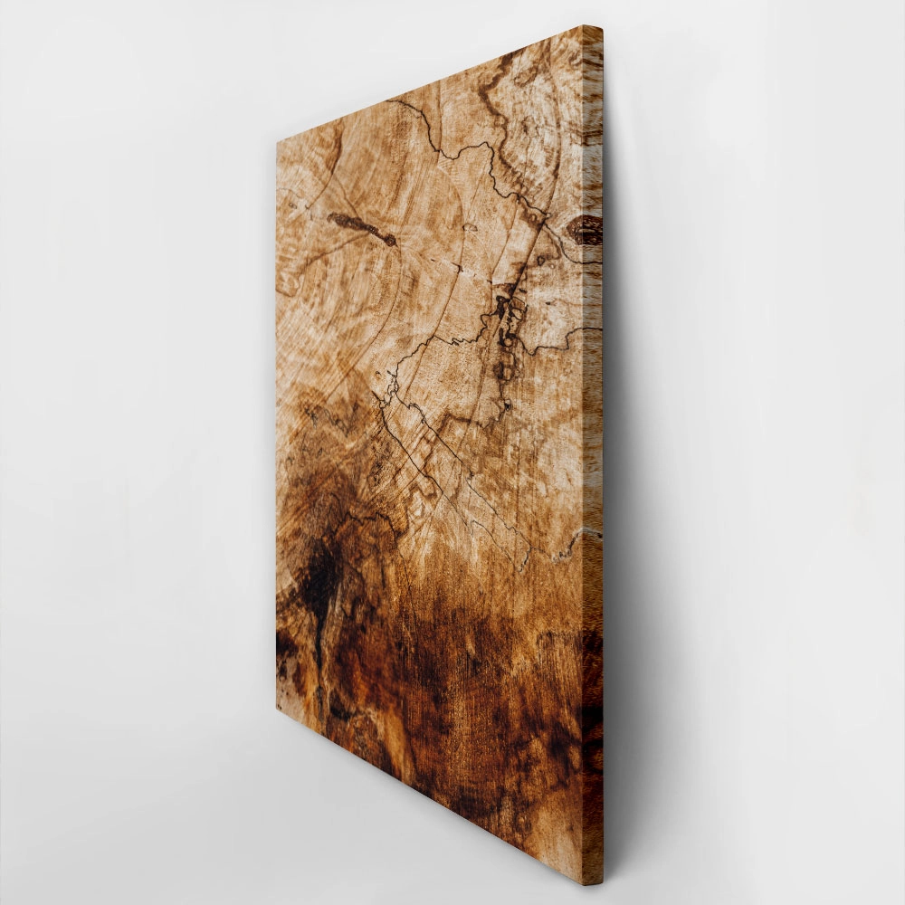 Πίνακας σε Καμβά RUSTIC FARMHOUSE WOOD TEXTURE