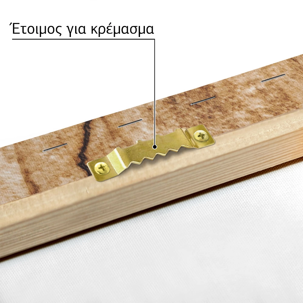 Πίνακας σε Καμβά RUSTIC FARMHOUSE WOOD TEXTURE