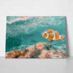 Πίνακας σε Καμβά VINTAGE PASTEL CLOWN FISH 3