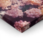 Πίνακας σε Καμβά VINTAGE PASTEL COARL REEF 2