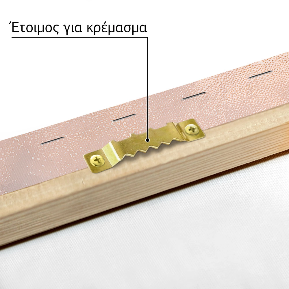 Πίνακας σε Καμβά VINTAGE PASTEL CORAL REEF 5