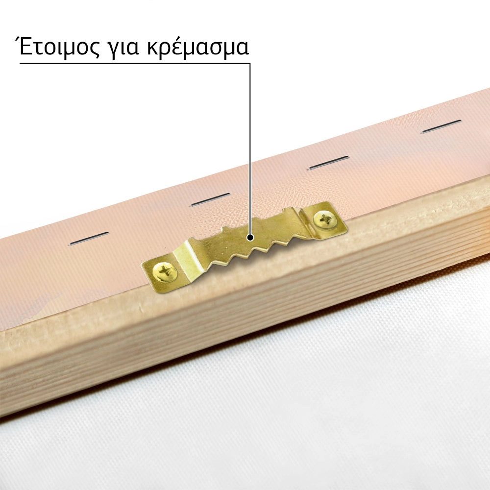 Πίνακας σε Καμβά VINTAGE PASTEL CRAB 2