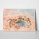 Πίνακας σε Καμβά VINTAGE PASTEL CRAB 3