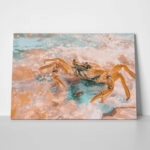 Πίνακας σε Καμβά VINTAGE PASTEL CRAB 5