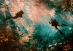 Πίνακας σε Καμβά VINTAGE PASTEL DIVERS 3