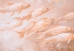 Πίνακας σε Καμβά VINTAGE PASTEL FISH 3
