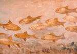 Πίνακας σε Καμβά VINTAGE PASTEL FISH 4