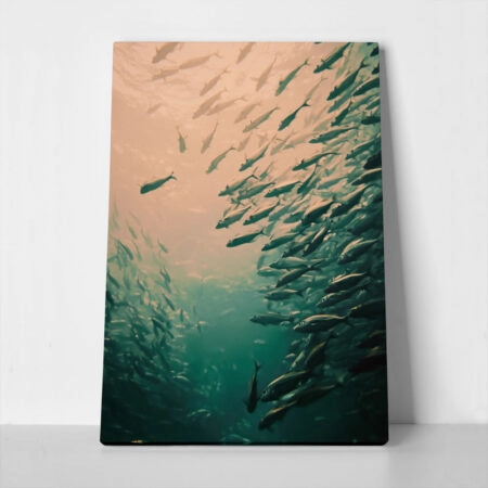 Πίνακας σε Καμβά VINTAGE PASTEL FISH - Vintage