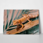 Πίνακας σε Καμβά VINTAGE PASTEL GEKO 2