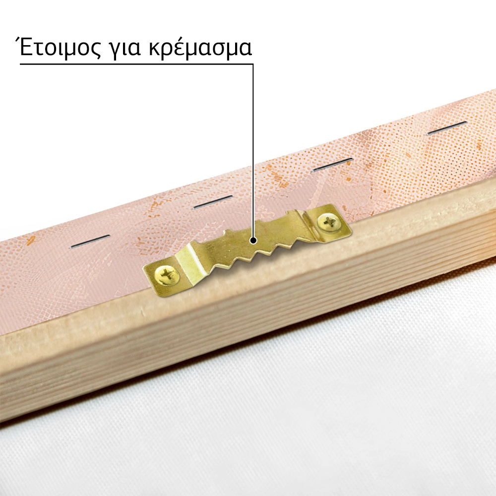 Πίνακας σε Καμβά VINTAGE PASTEL GEKO 3