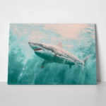 Πίνακας σε Καμβά VINTAGE PASTEL GREAT WHITE SHARK