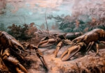 Πίνακας σε Καμβά VINTAGE PASTEL LOBSTERS