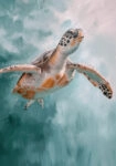 Πίνακας σε Καμβά VINTAGE PASTEL SEA TURTLE 2