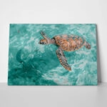 Πίνακας σε Καμβά VINTAGE PASTEL SEA TURTLE 4