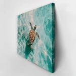 Πίνακας σε Καμβά VINTAGE PASTEL SEA TURTLE 6