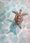 Πίνακας σε Καμβά VINTAGE PASTEL SEA TURTLE