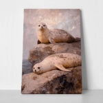 Πίνακας σε Καμβά VINTAGE PASTEL SEALS