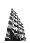 Poster BLACK AND WHITE ARCHITECTURAL CACTUS TOWER