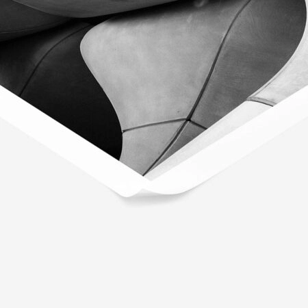 Poster BLACK AND WHITE ARCHITECTURAL CONCRETE TULIP - Πολεις - Χαρτες Sticky 1