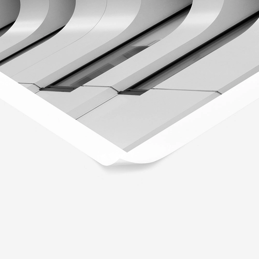 Poster BLACK AND WHITE ARCHITECTURAL CURVED CEILING ELEMENTS