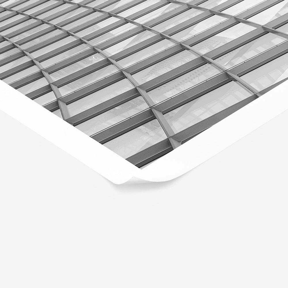 Poster BLACK AND WHITE ARCHITECTURAL CURVED GLASS ROOF