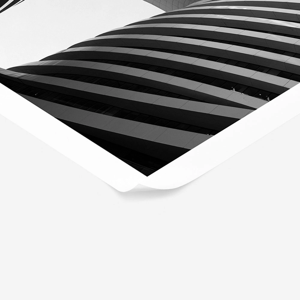 Poster BLACK AND WHITE ARCHITECTURAL FLOWING FORMS